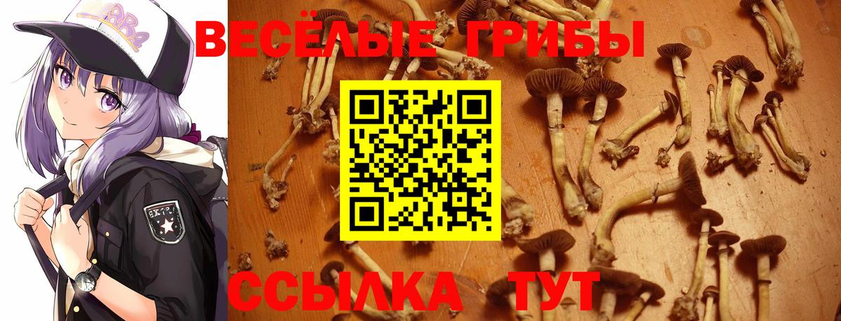 Псилоцибиновые грибы Psilocybine cubensis Южно-Сахалинск